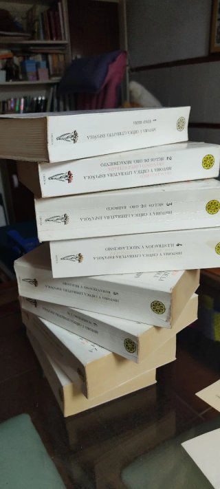 Libri: Storia e critica della letteratura spagnola