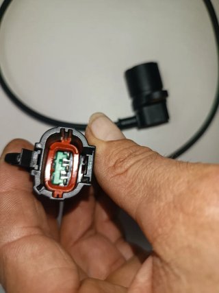 Sensor Cigüeñal Terrano