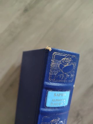 Libro Sapho