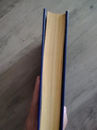 Libro Sapho