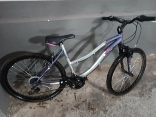 Bicicleta Morada y Plateada.