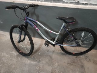 Bicicleta Morada y Plateada.