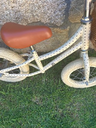 Bicicleta Banwood sin pedales