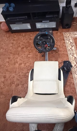 Silla Playseat con Volante, Pedales y Palanca