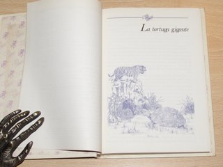 Cuentos de la selva Horacio Quiroga Anaya 1984