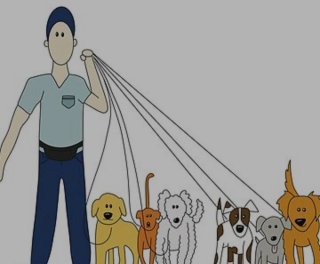 Paseo de perros