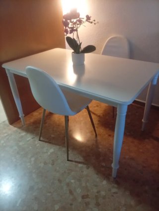 Lote electrodomésticos y muebles