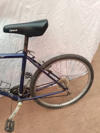Bicicleta Montaña Globe Trotter Azul Vintage