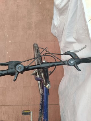 Bicicleta Montaña Globe Trotter Azul Vintage