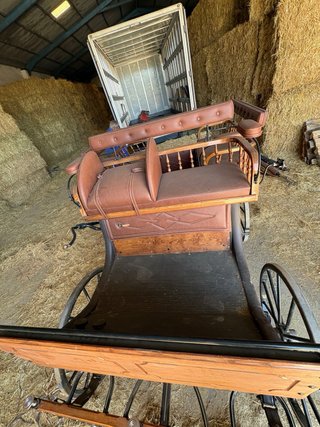 Carro de caballos tipo maratón