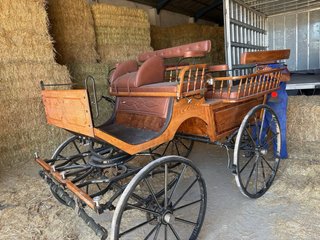 Carro de caballos tipo maratón