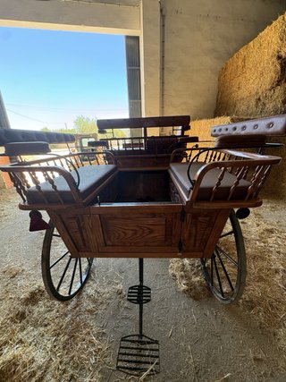 Carro de caballos tipo maratón
