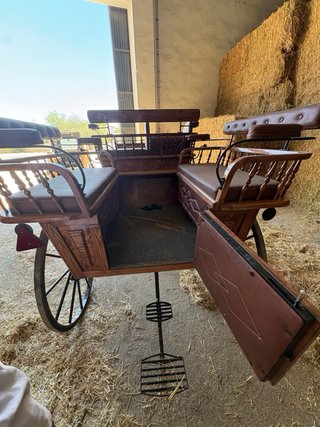 Carro de caballos tipo maratón