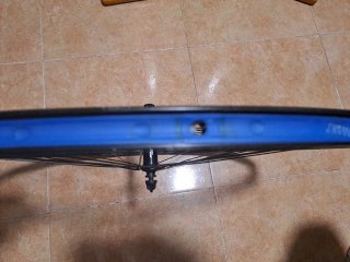 Llanta Delantera Wilier Montegrappa