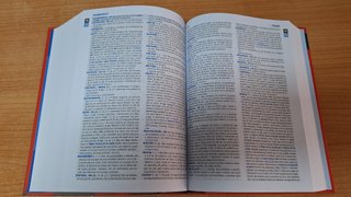Diccionario secundaria y BACH lengua española