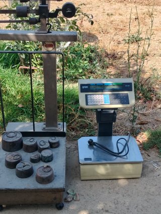 Balanza antigua y pesas
