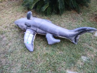 Gonfiabile squalo gioco acquatico