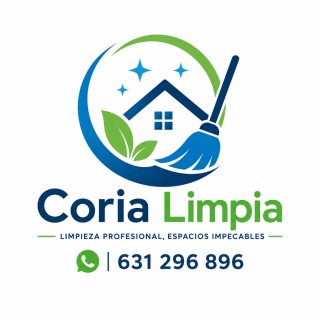 ¿Necesitas una limpieza profesional?