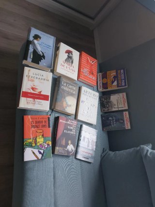 Libros de lectura, tapa dura, separados ó juntos.