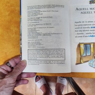 Libro Acampada a les cascades del Niàgara Stilyon