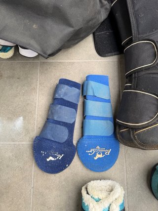 Pack protectores caballo