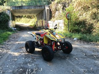 Suzuki LTZ 400 Quad