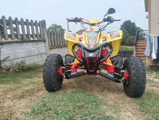 Suzuki LTZ 400 Quad