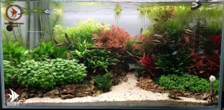 Urna Acuario Eheim ClearTank 200
