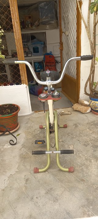 Bicicleta estática Torrot