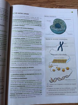 Biología y Geología, 4 ESO, Operación mundo.
