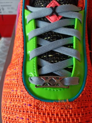 Nike Lebron
