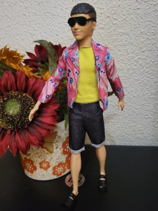 Muñeco ken con chaqueta colorida