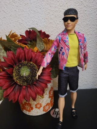 Muñeco ken con chaqueta colorida