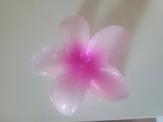 Pinzas para el cabello con forma de flor