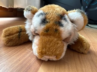 Lote Peluches: Gatos, Oveja, Zorro, Tigre