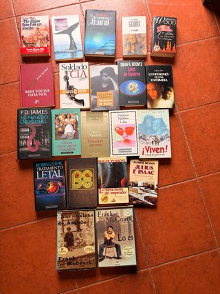 Lote 21 libros: clasicos, novela, thriller, ensayo