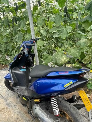 Yamaha Jog RR Azul