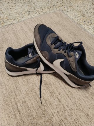 Zapatillas Nike Azul y Gris