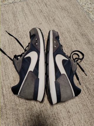 Zapatillas Nike Azul y Gris