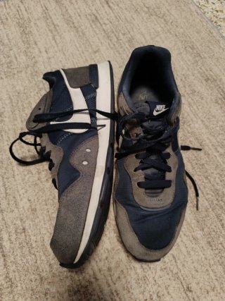 Zapatillas Nike Azul y Gris