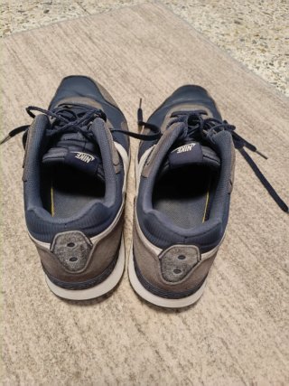 Zapatillas Nike Azul y Gris