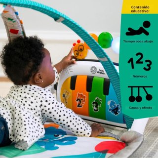 Baby Einstein 4en1 Gimansio Musical de Actividades