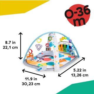Baby Einstein 4en1 Gimansio Musical de Actividades