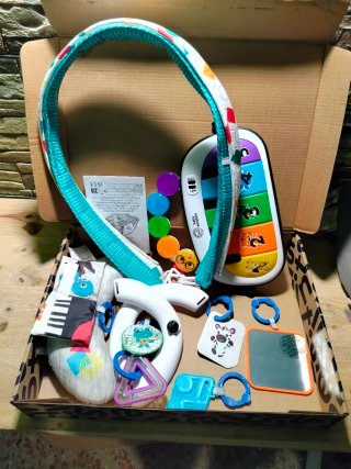 Baby Einstein 4en1 Gimansio Musical de Actividades