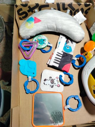 Baby Einstein 4en1 Gimansio Musical de Actividades