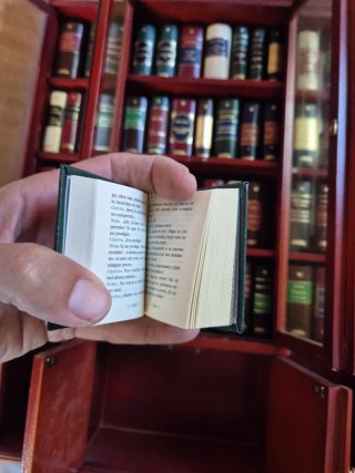 Libreria con collezione di libri nani Planeta DeAgostini