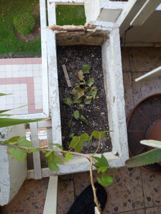 Jardineras de hormigón