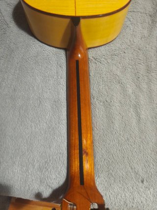 Guitarra Flamenca.