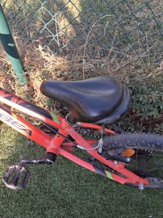 Bicicleta Orbea Roja desde 3 años