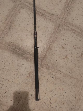 Caña Daiwa Exceler Swimbait y siluro 7'6 XXH